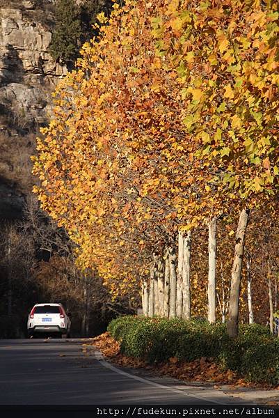 IMG_2108.jpg IMG_2108.jpg