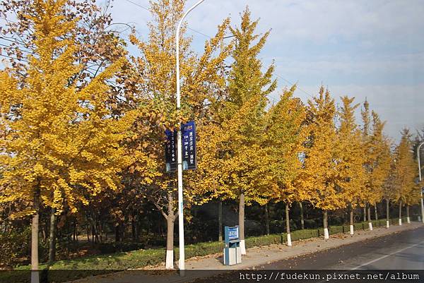 IMG_2089.jpg IMG_2089.jpg