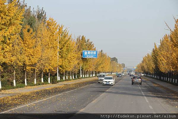 IMG_2094.jpg IMG_2094.jpg