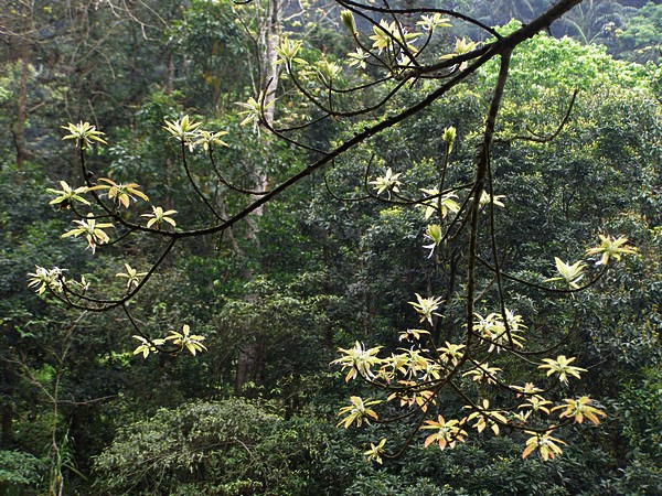 11041411.jpg 11041411.jpg