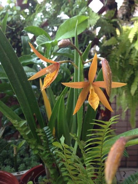 IMG_4400 IMG_4400