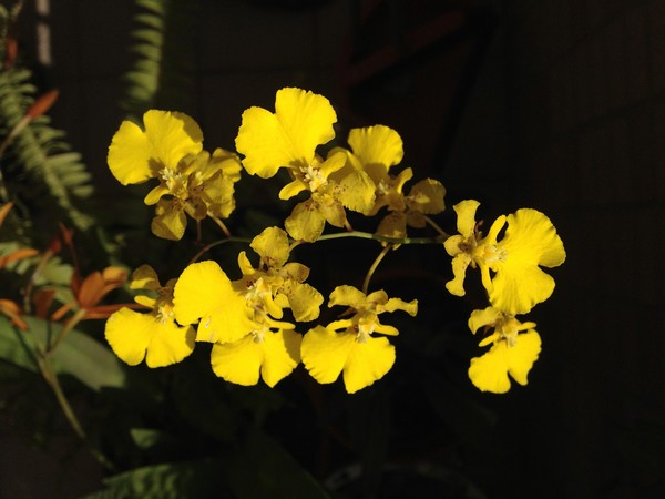 IMG_4441 IMG_4441
