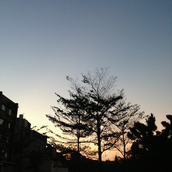 IMG_5021 IMG_5021
