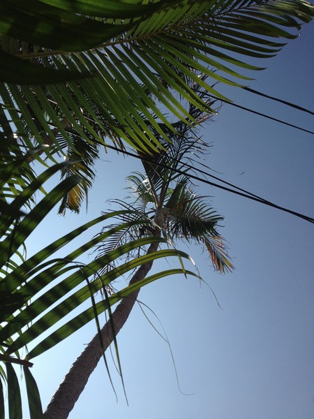 IMG_5086 IMG_5086