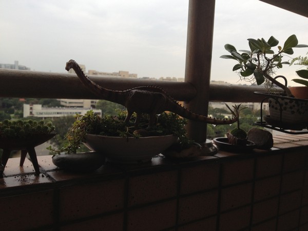 IMG_5434 IMG_5434