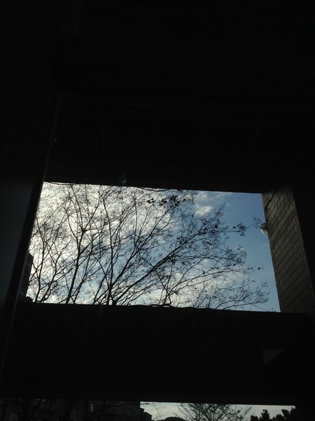 IMG_6238 IMG_6238