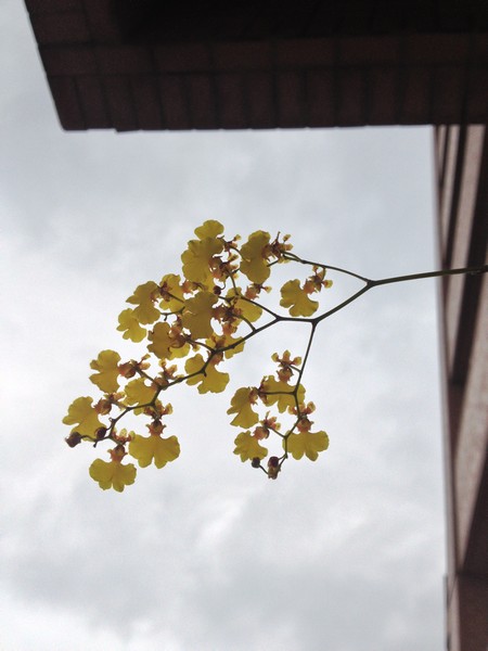 IMG_6672 IMG_6672