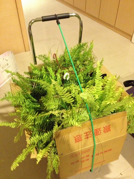 IMG_6826 IMG_6826