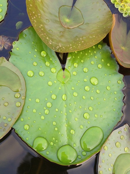 water06.jpg water06.jpg