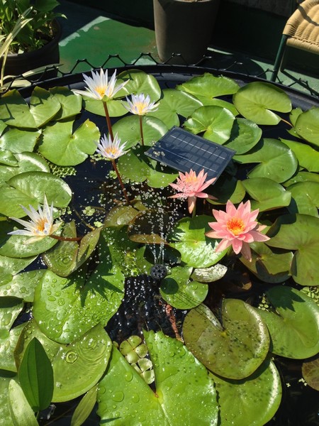 water09_5.jpg water09_5.jpg
