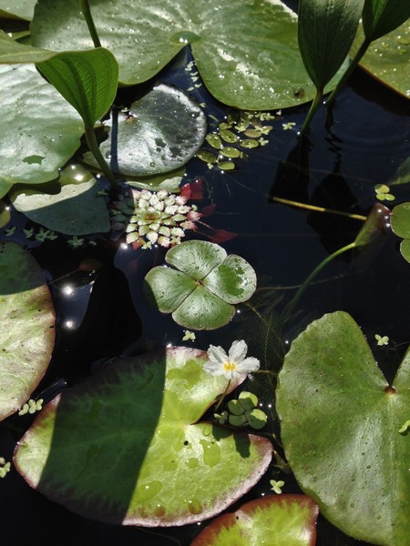 water22.jpg water22.jpg