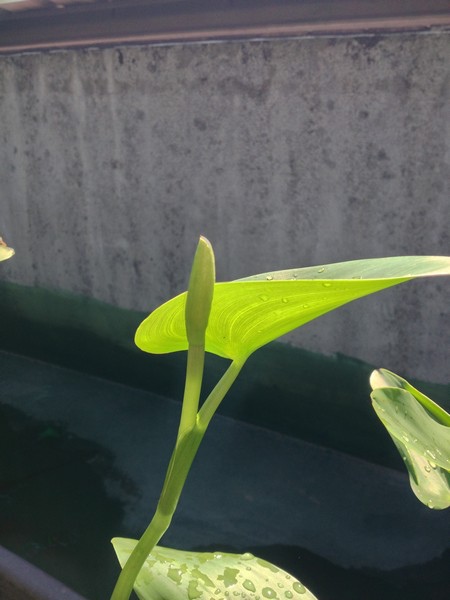 water31.jpg water31.jpg