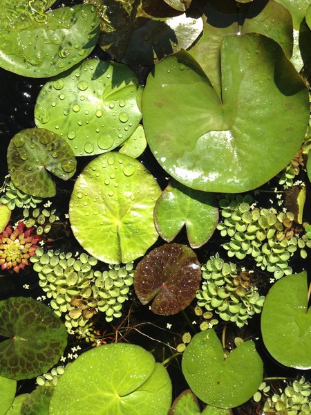 water27.jpg water27.jpg