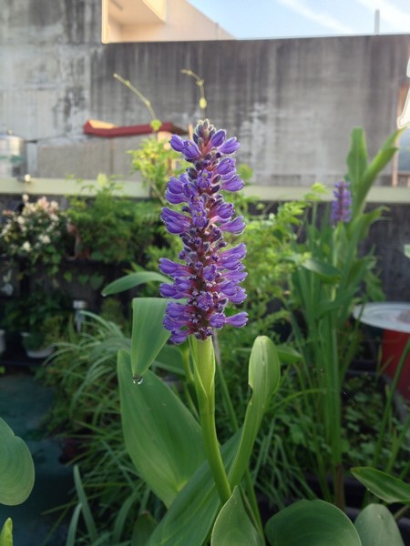 aIMG_8600.jpg aIMG_8600.jpg