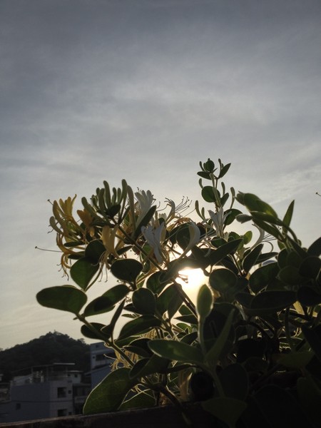 lIMG_8831.jpg lIMG_8831.jpg