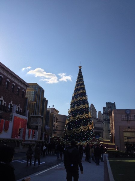 a01_1.jpg a01_1.jpg