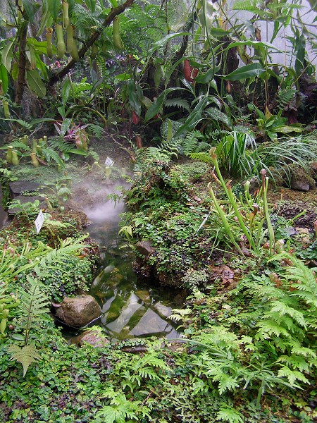 10092218.jpg 10092218.jpg