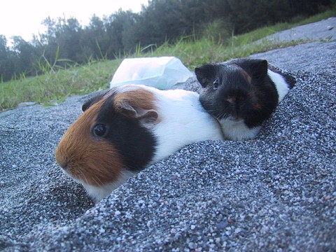 05051905.jpg 05051905.jpg