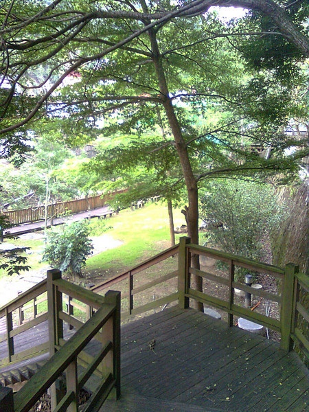11060706.jpg 11060706.jpg