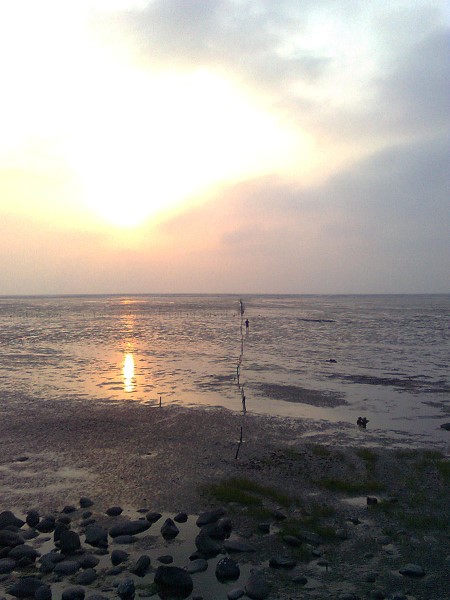 11040708.jpg 11040708.jpg