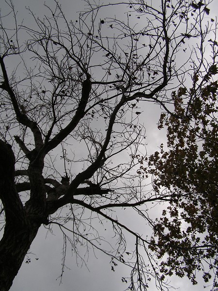 09021556.jpg 09021556.jpg