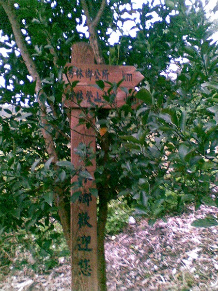 09021562.jpg 09021562.jpg