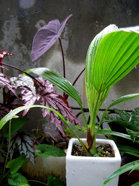 09030912.jpg 09030912.jpg