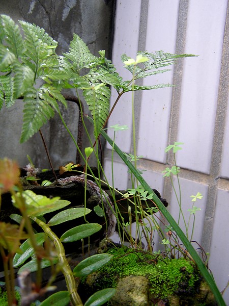 09030913.jpg 09030913.jpg