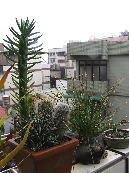 09030914.jpg 09030914.jpg