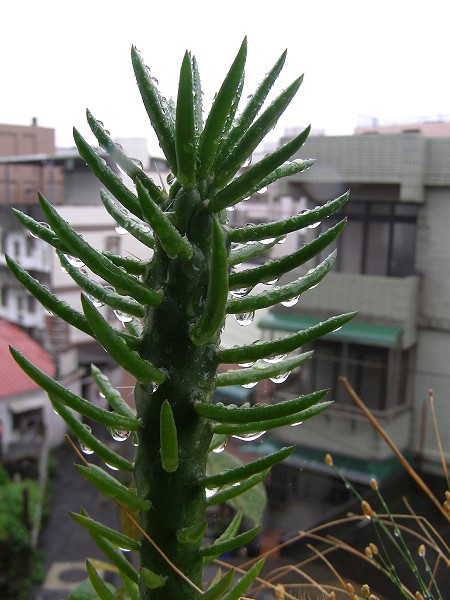 09030916.jpg 09030916.jpg