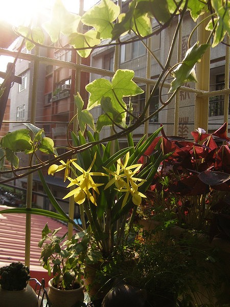 09071501.jpg 09071501.jpg