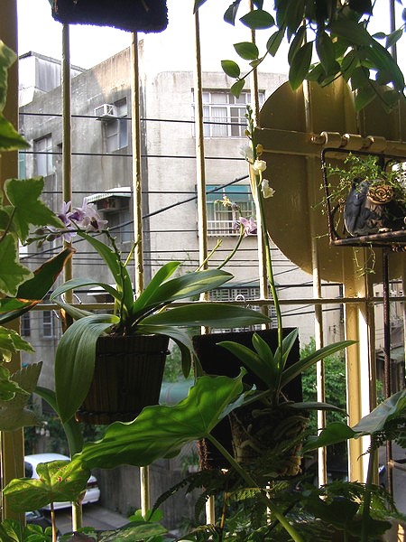 09071505.jpg 09071505.jpg