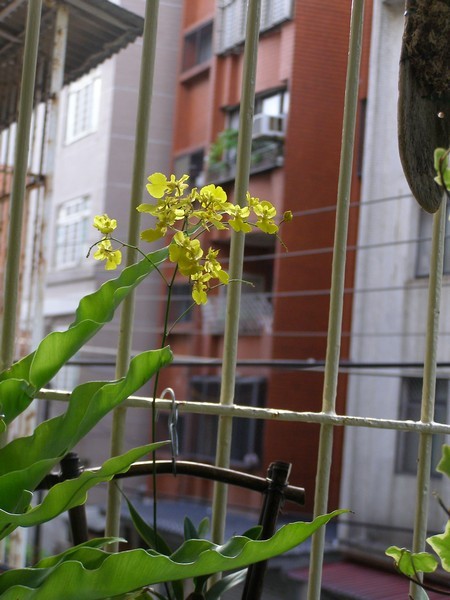 09071511.jpg 09071511.jpg