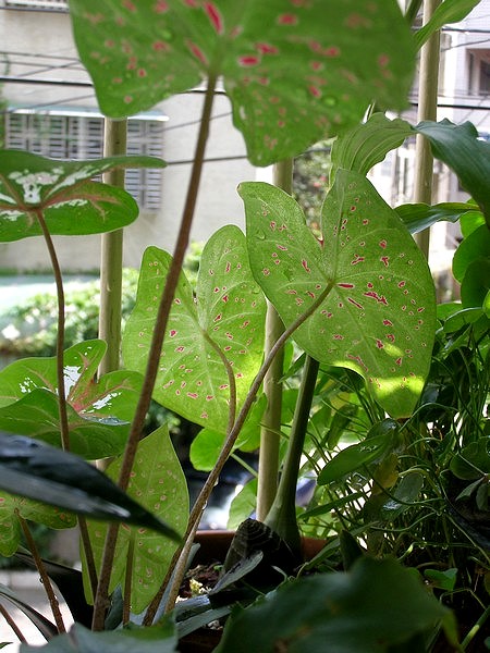 09071517.jpg 09071517.jpg