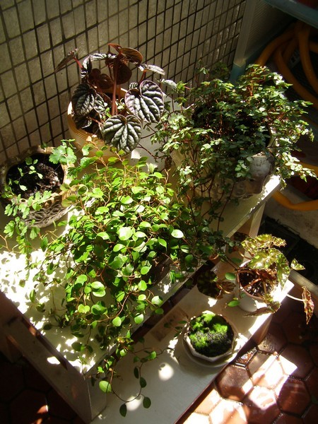 09071519.jpg 09071519.jpg