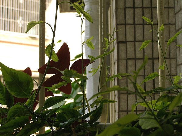 09071527.jpg 09071527.jpg