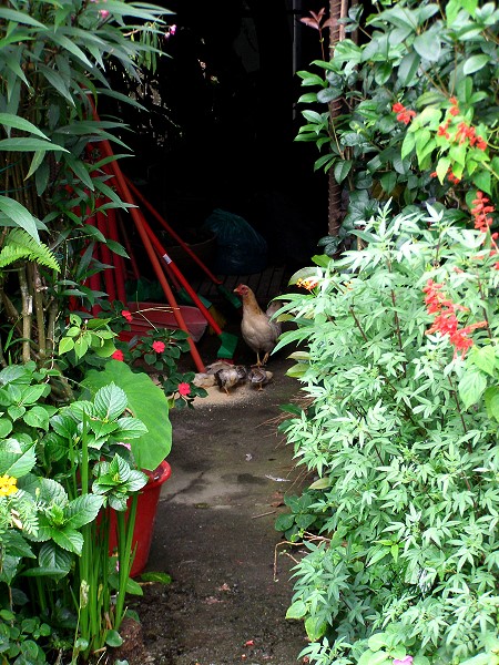 09073006.jpg 09073006.jpg