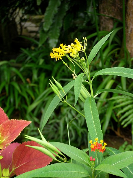 09073007.jpg 09073007.jpg