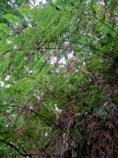 09073010.jpg 09073010.jpg