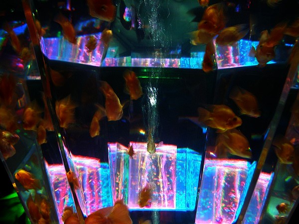 09082025.jpg 09082025.jpg
