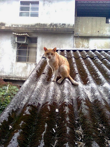 10030510.jpg 10030510.jpg
