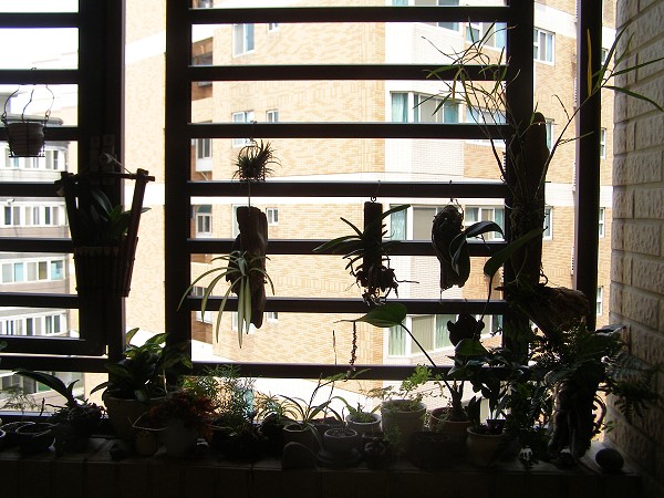 10040101.jpg 10040101.jpg
