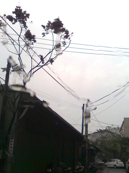 10051402.jpg 10051402.jpg