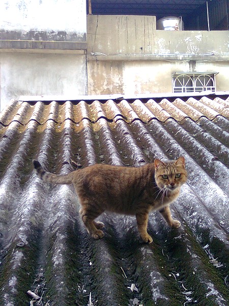 10051408.jpg 10051408.jpg