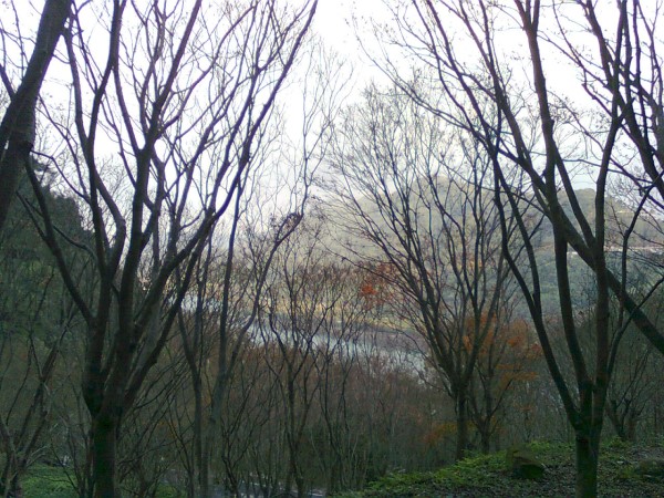 10051420.jpg 10051420.jpg