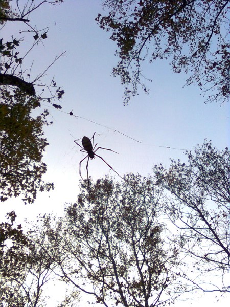 10051421.jpg 10051421.jpg