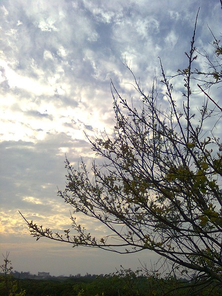 11051717.jpg 11051717.jpg