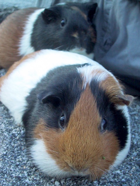 05051904.jpg 05051904.jpg