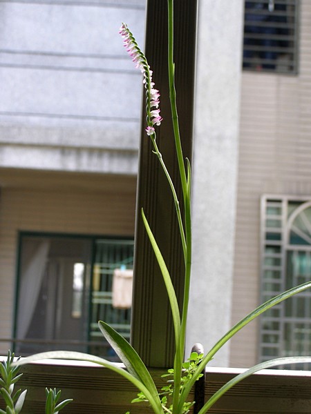 11050815.jpg 11050815.jpg