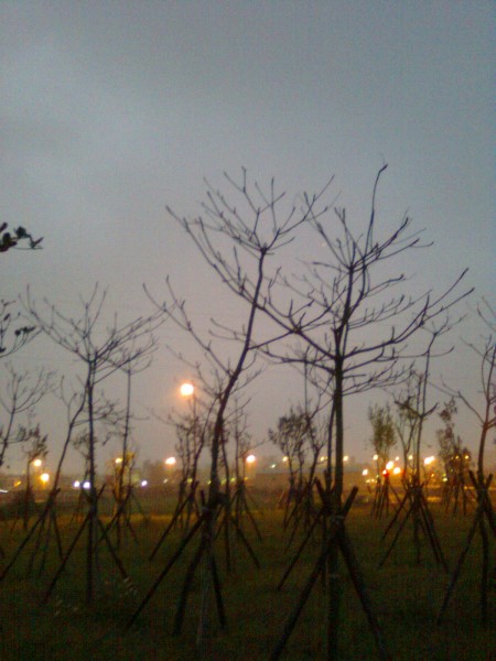 11051720.jpg 11051720.jpg